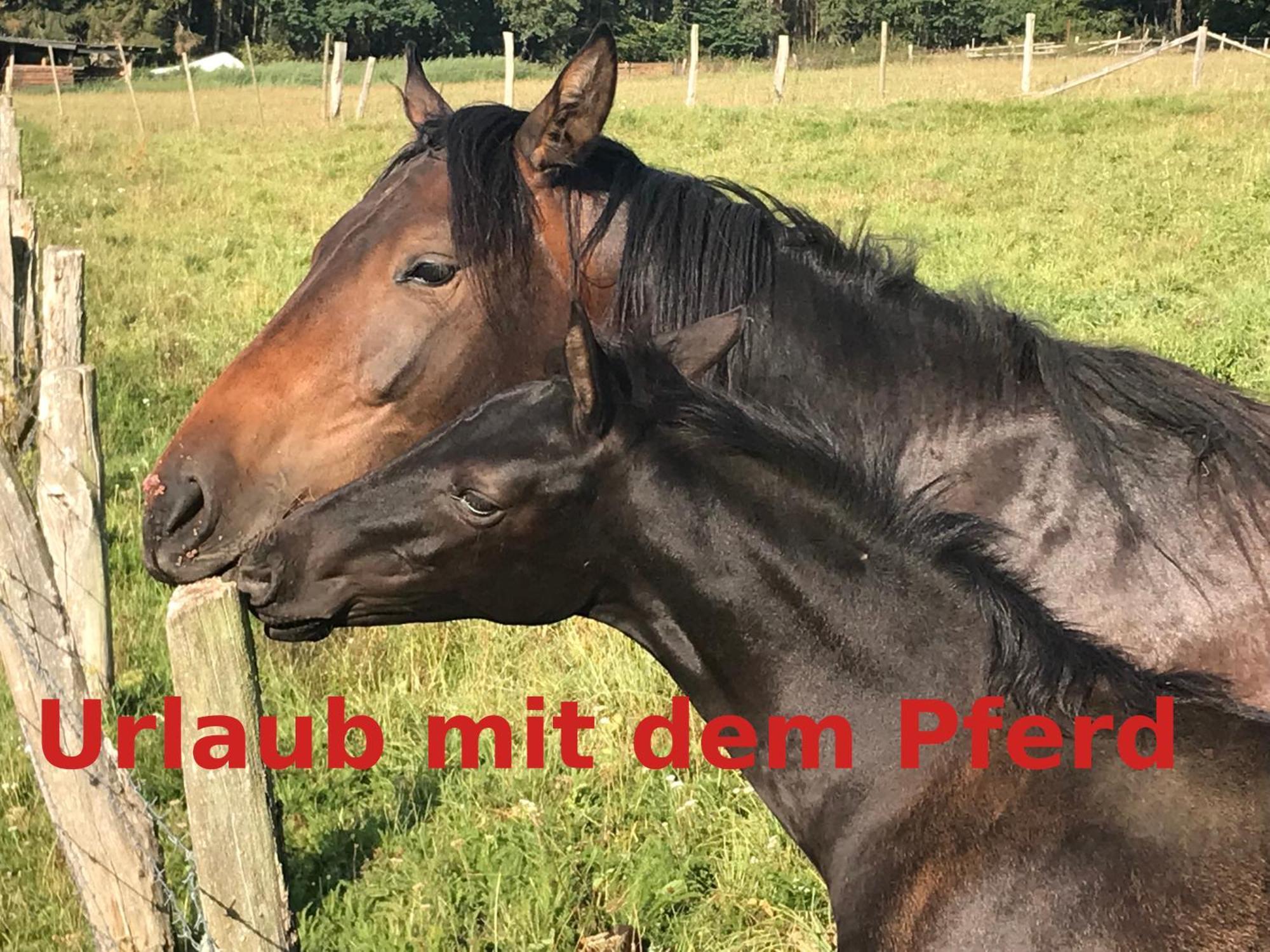 Hardtmuehle Momberg Daire Dış mekan fotoğraf